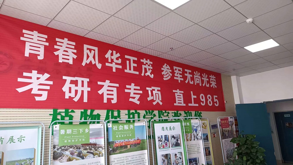 武道教育联盟